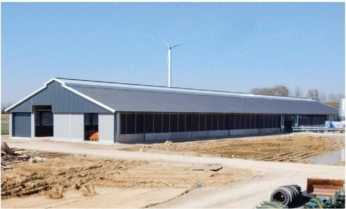 Latest company case about STEEL STRUCTURE LIVESTOCK SHED