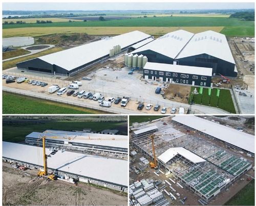 Latest company case about The pig farm buildings in the project contain a total usable floor surface of over 27.000 sqm,with room