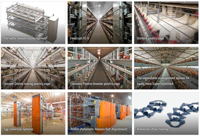Poultry Farm Broiler Cage System with MTS Drawing Design and Steel Grade