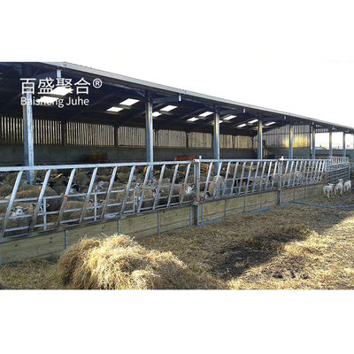 Metal Building Steel Structure Customized For Cattle Cow Shed / Sheep Shed / Piggy House