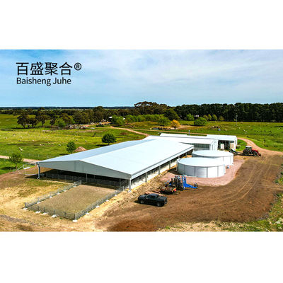 Metal Building Steel Structure Customized For Cattle Cow Shed / Sheep Shed / Piggy House