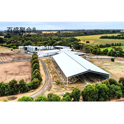 Metal Building Steel Structure Customized For Cattle Cow Shed / Sheep Shed / Piggy House