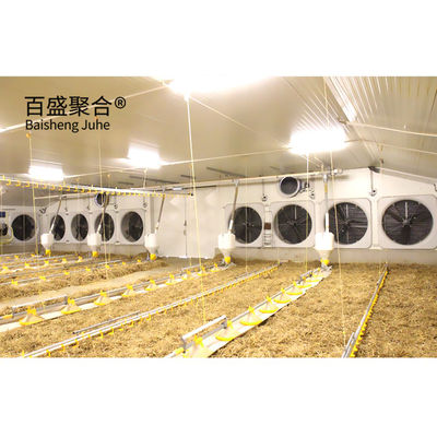 Multi Floor Large Scale Chicken Coop Shed Farm House Warehouse with Aluminum Alloy Window