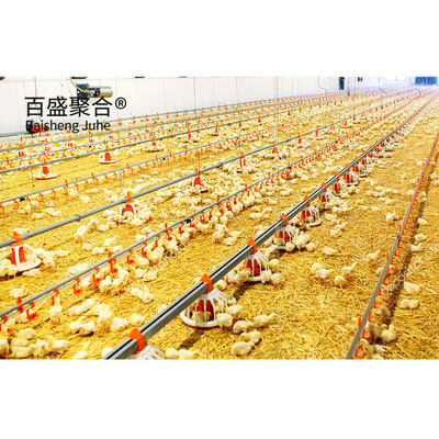 Multi Floor Large Scale Chicken Coop Shed Farm House Warehouse with Aluminum Alloy Window