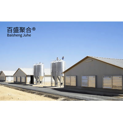 Multi Floor Large Scale Chicken Coop Shed Farm House Warehouse with Aluminum Alloy Window