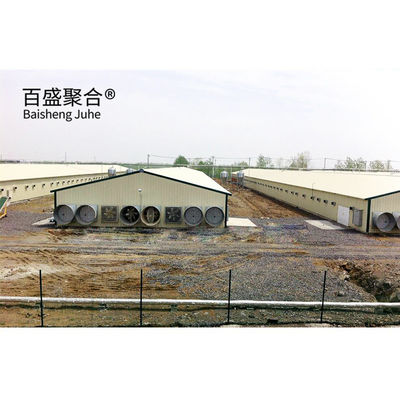Multi Floor Large Scale Chicken Coop Shed Farm House Warehouse with Aluminum Alloy Window