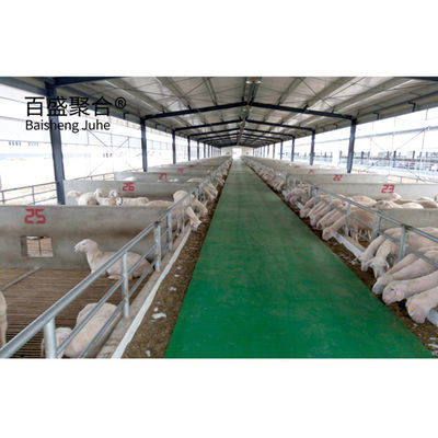 Aluminum Alloy Window Prefab Steel Construction Agricultural Building for Cattle Barn
