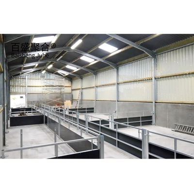 Aluminum Alloy Window Prefab Steel Construction Agricultural Building for Cattle Barn