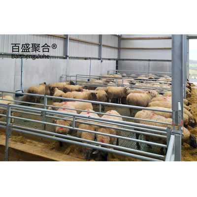 ASTM Standard Steel Grade Prefab Agricultural Building for Cattle and Sheep Shelter
