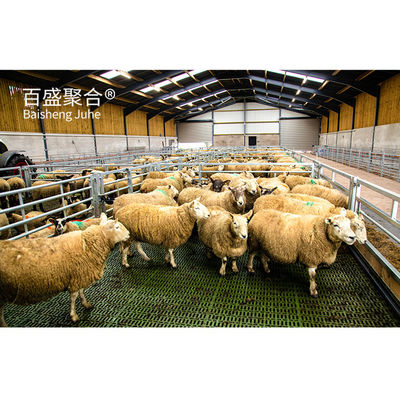 ISO9001 2008/CE/BV Certified Hot Dip Galvanized Prefabricated Steel Structure Livestock Building for Pig Cow Sheep