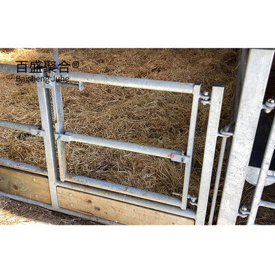ISO9001 2008/CE/BV Certified Hot Dip Galvanized Prefabricated Steel Structure Livestock Building for Pig Cow Sheep
