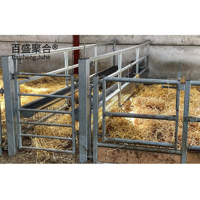Q345 Steel Structure Design Livestock Farm Shed for Goat/Cattle Farms MTS Drawing