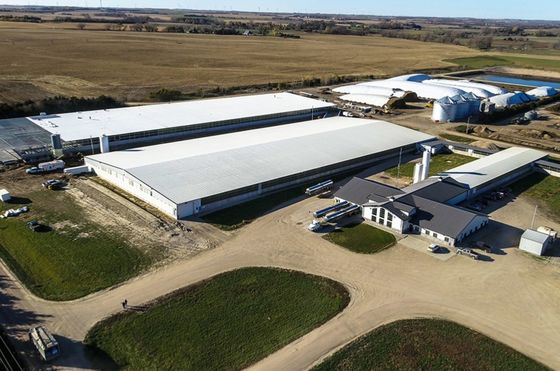 Customized Steel Structure Warehouse Workshop Hangar Hall with Sandwich Panel Roofing