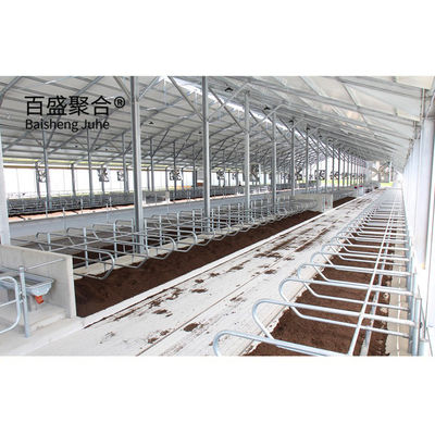 PKPM Drawing Design Stable and Durable Light Steel Structure Frame for Modern Cowshed