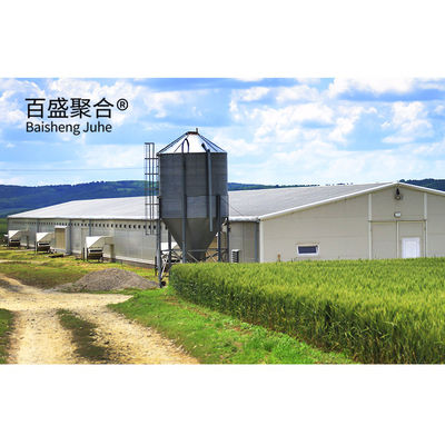 Heavy-Duty Prefab Pigsty Farm Houses with Large Stock and Piggery Equipment Design
