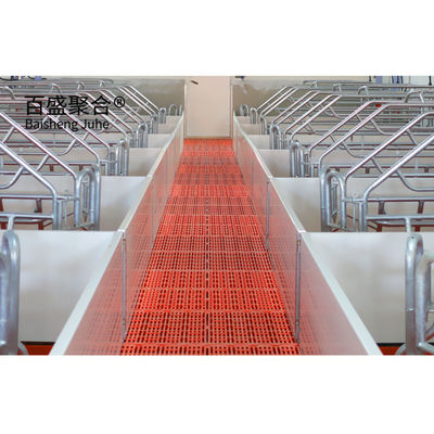 Steel Frame Pig Farm Structures Building Design Prefabricated Steel Poultry Pig House