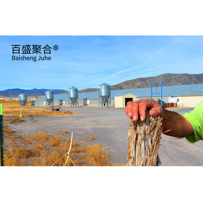 Steel Frame Pig Farm Structures Building Design Prefabricated Steel Poultry Pig House