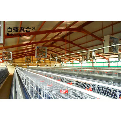 Hot Dip Galvanised Modern Steel Structure Shed Chicken Poultry Farm Egg Chickens Houses
