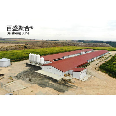 Sliding Door Roller Door Steel Chicken House for 10000 Chickens in Custom Colors