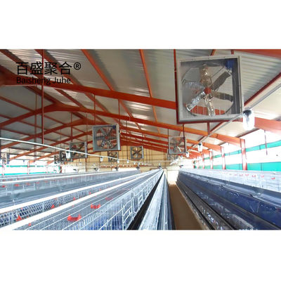Sliding Door Roller Door Steel Chicken House for 10000 Chickens in Custom Colors