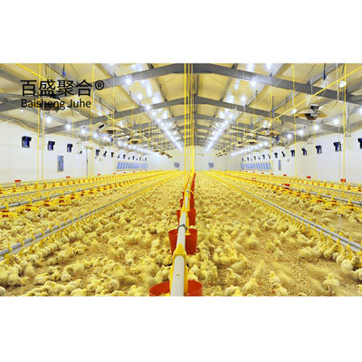 Sliding Door Roller Door Steel Chicken House for 10000 Chickens in Custom Colors
