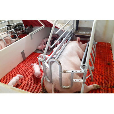 Door Sliding Door Roller Door Prefabricated Piggery House for Pig Farm Building Design