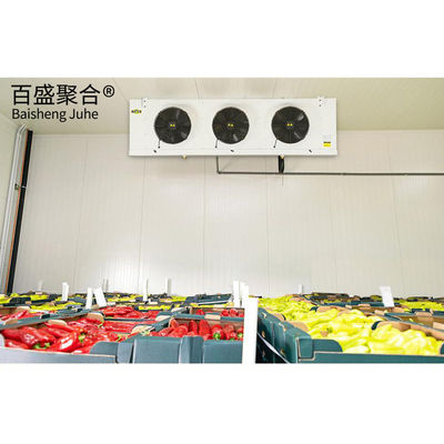 Aluminum Alloy Window Cold Room for Storing Corrosive Durian Fresh Fruits in Capacity