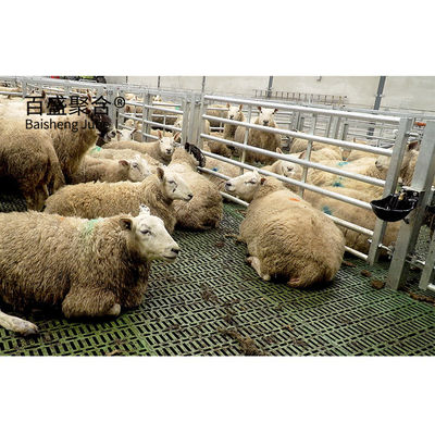 Prefabricated Steel Structure Sheep Barn Farming Shed with ASTM Standard Design