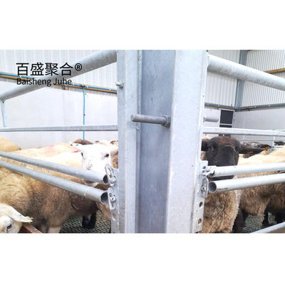 Welding Prefab H Beams Steel Structure Building For Goat Sheep Sheds Cow/Cattle Farm