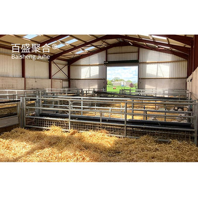 Affordable Prefab Metal Building Sheep Goat Farm Shed House with PKPM Drawing Design