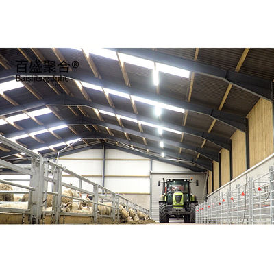 Steel Buildings Steel Structure Sheep Sheds Design with Hot Dip Galvanised Steel Beams