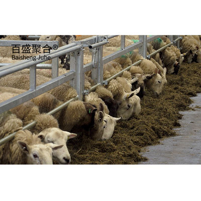 Steel Buildings Steel Structure Sheep Sheds Design with Hot Dip Galvanised Steel Beams