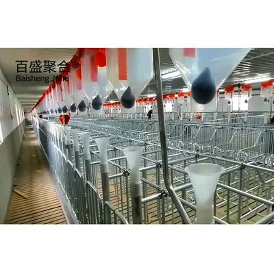 Farrowing Crate Steel Structure for Modern Farm Pig House Shed Hog Cote Winery Pigsty