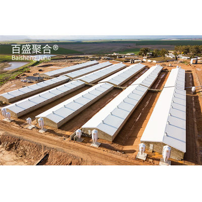 Customized Prefabricated Steel Structure Farm Building for Pig Housing and Cow Shed