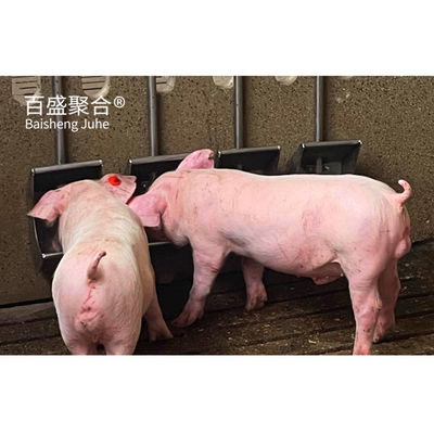 Customized Prefabricated Steel Structure Farm Building for Pig Housing and Cow Shed