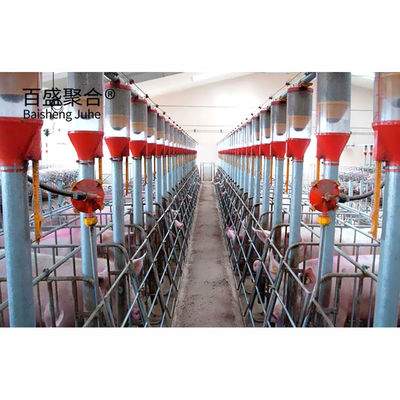 Long Span Steel Structure Pig Shed for Agricultural Piggery House Construction Design
