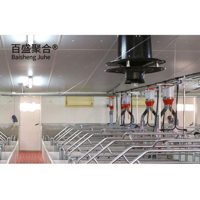 Long Span Steel Structure Pig Shed for Agricultural Piggery House Construction Design