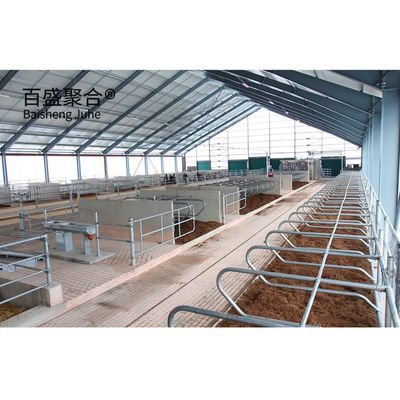 Easy Installation Prefabricated Cow Shed with Custom Colors and C.Z Shape Steel Channel