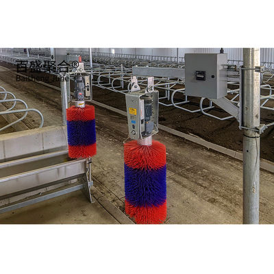 Easy Installation Prefabricated Cow Shed with Custom Colors and C.Z Shape Steel Channel
