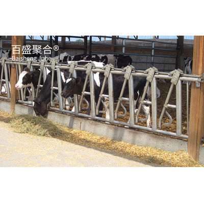 Easy Installation Prefabricated Cow Shed with Custom Colors and C.Z Shape Steel Channel