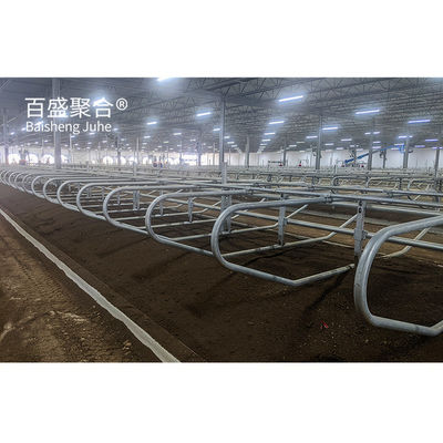 Easy Installation Prefabricated Cow Shed with Custom Colors and C.Z Shape Steel Channel