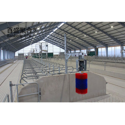 Cowshed Prefabricated with Light Steel Structure Frame and ISO9001 2008/CE/BV Certified