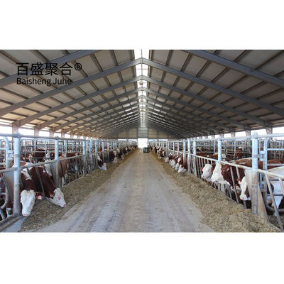 Cowshed Prefabricated with Light Steel Structure Frame and ISO9001 2008/CE/BV Certified