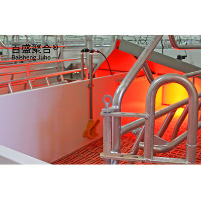 Prefab Metal Steel Construction Pig Farm Shed equipped with Sliding Door Roller Door