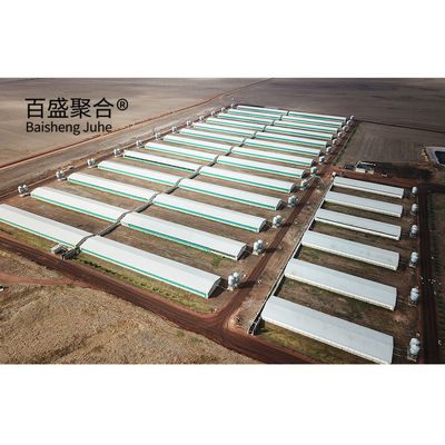 Automatic Poultry Farm Prefab Layer Pig Houses with Design and Aluminum Alloy Window