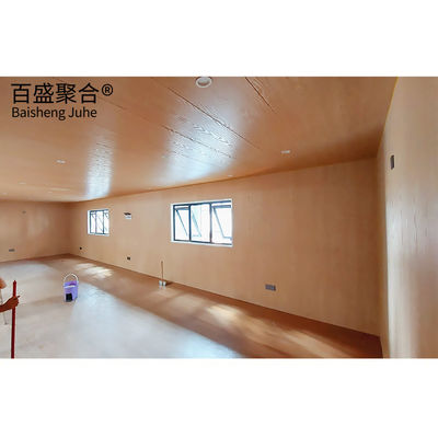 Standard Plan Prefabricated Container House Home for Standard Shipping and Storage Needs