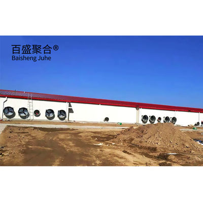 Automatic Poultry Farm Prefab Layer Pig Houses with Design and Aluminum Alloy Window