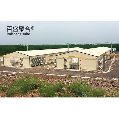 Automatic Poultry Farm Prefab Layer Pig Houses with Design and Aluminum Alloy Window
