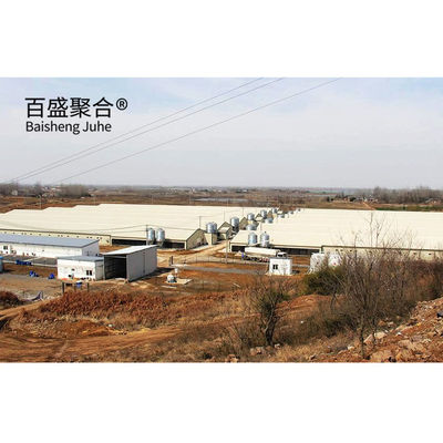 Automatic Poultry Farm Prefab Layer Pig Houses with Design and Aluminum Alloy Window