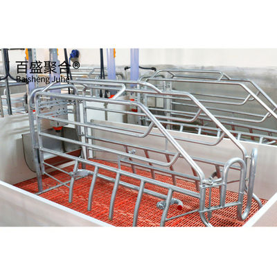 ISO9001 2008/CE/BV Certified Pig Farming Business Plan for Customized Cages and Pen